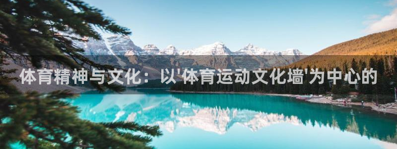 3377体育官网下载是干嘛的公司：体育精神与文化：以