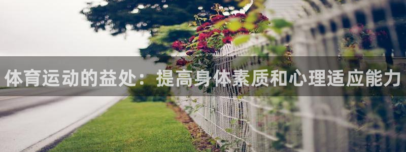 3377体育官方正版app集团E.ON：体育运动的益处：提高