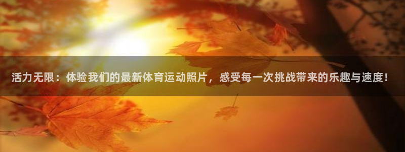 3377体育官方正版app开户：活力无限：体验我们的