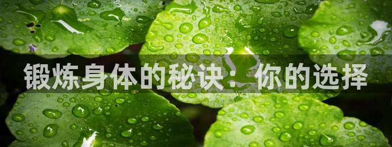 3377体育官网下载联系电话：锻炼身体的秘诀：你的选