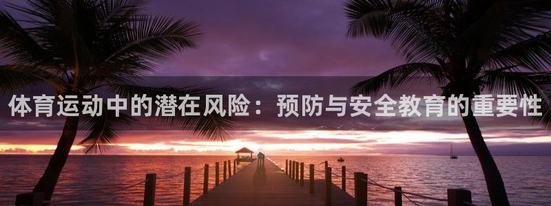 3377体育官网下载软件：体育运动中的潜在风险：预防