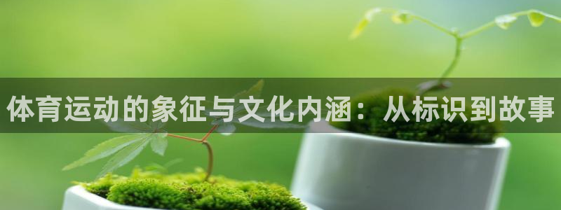 3377体育官方平台体育：体育运动的象征与文化内涵：