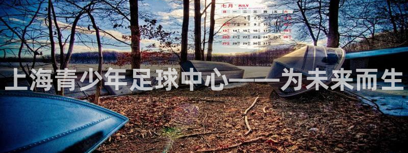 3377体育官网下载招商电话号码是多少号：上海青少年