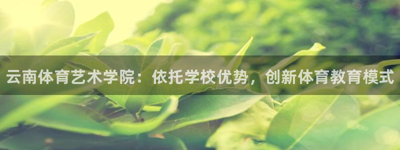 3377体育官网下载招商电话号码查询：云南体育艺术学