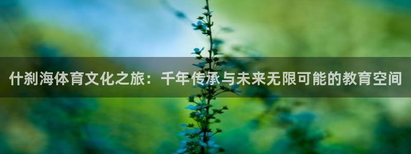 3377体育官方正版app神州：什刹海体育文化之旅：千年传承