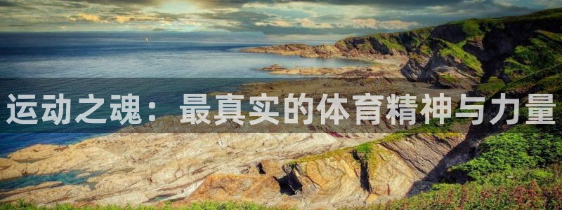 3377体育官网下载娱乐：运动之魂：最真实的体育精神