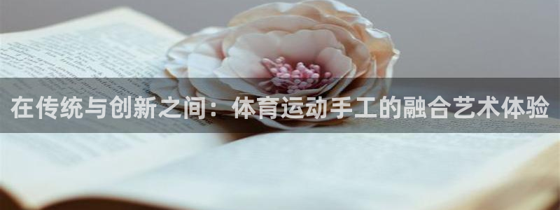 3377体育官网下载平台注册流程图：在传统与创新之间