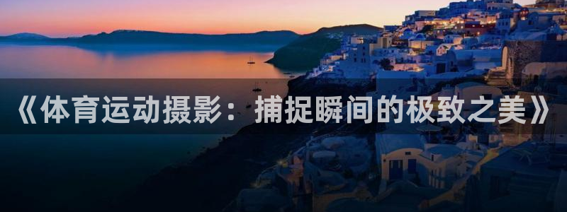 注册3377体育官方正版app：《体育运动摄影：捕捉