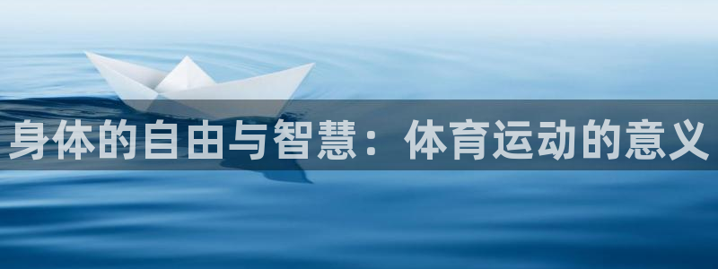 3377体育官方正版app集团简介