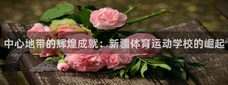 3377体育官网下载平台注册流程视频：中心地带的辉煌