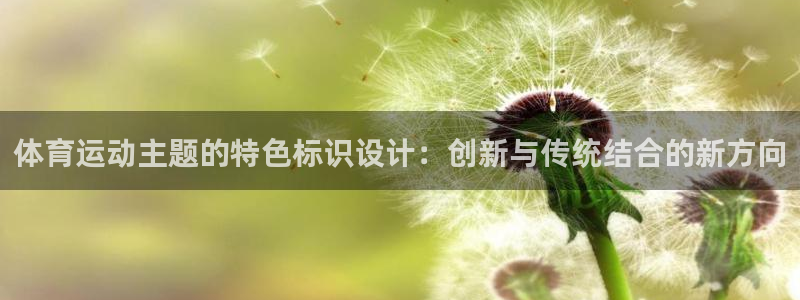 3377体育官方正版app娱乐平台：体育运动主题的特