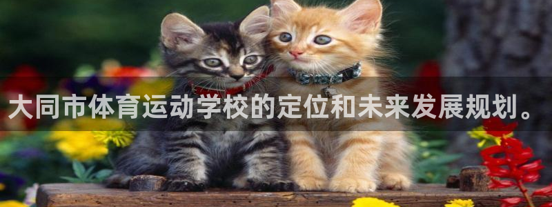 3377体育官方正版app娱乐下载