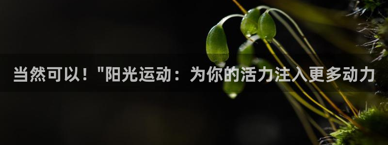 3377体育官网下载平台是正规平台吗：当然可以！\