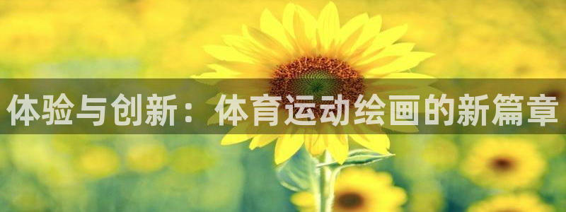 3377体育官网下载招商电话是多少号码：体验与创新：体育运动