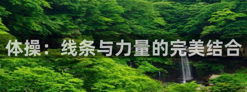 3377体育官方正版app代理：体操：线条与力量的完美结合