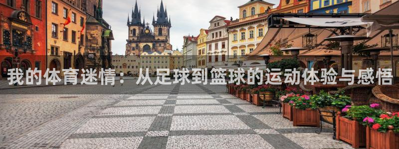 海南3377体育官网下载：我的体育迷情：从足球到篮球的运动体