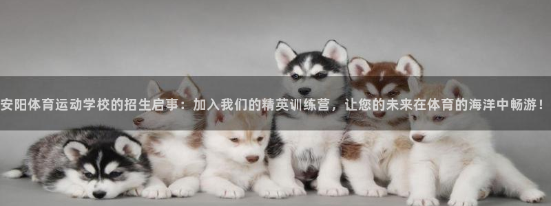 3377体育被国家取消了吗今天