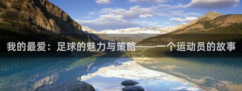 3377体育手机平台