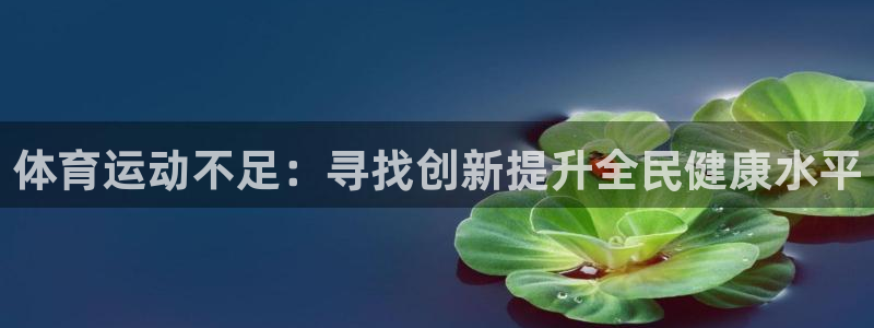 3377体育是什么