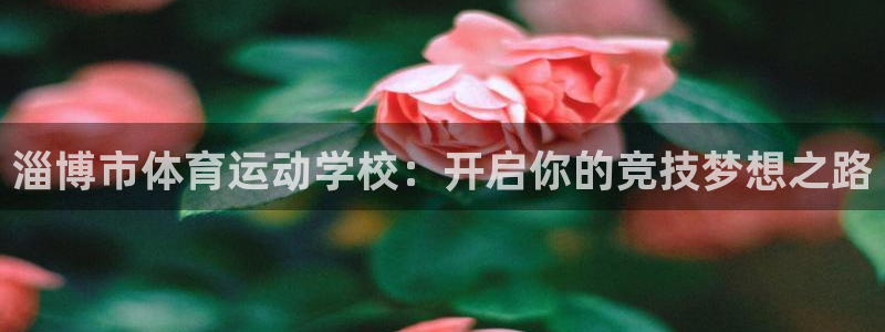 3377体育不出款