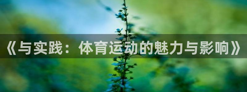 3377体育中国官方网站入口：《与实