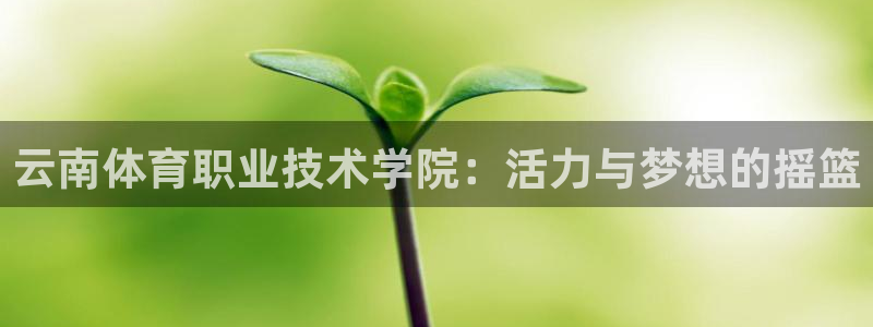 3377体育app倒闭了吗知乎：云南