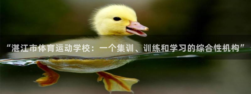 3377体育不出款：“湛江市体育运动