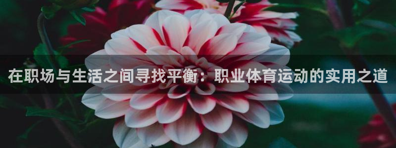 3377体育app属不属于病毒应用：