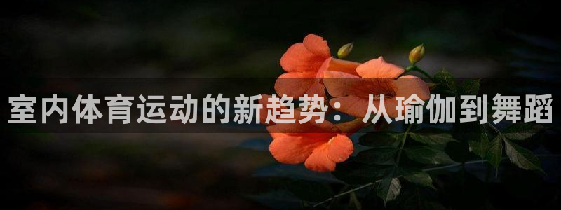 3377体育被国家取消了吗今天：室内体育运动的新趋势：从瑜伽