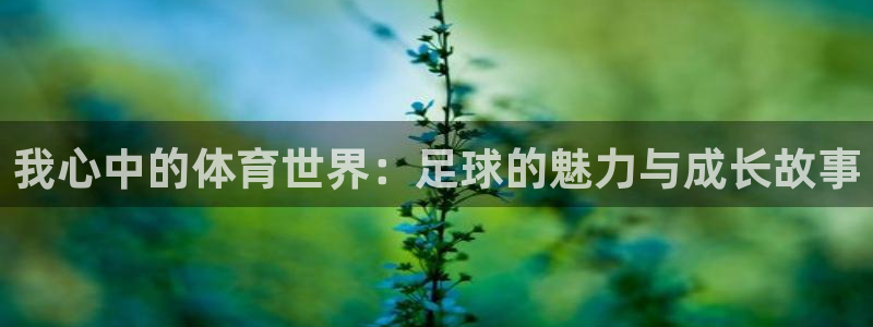 3377体育在线官网：我心中的体育世界：足球的魅力与成长故事