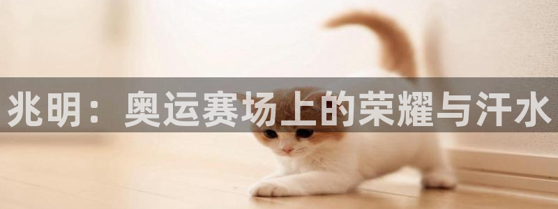 3377体育是什么：兆明：奥运赛场上
