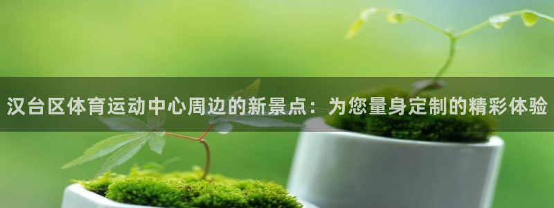 3377体育官方正版app娱乐平台