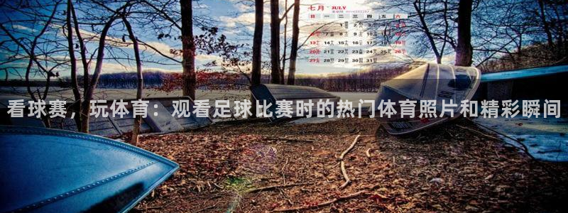 3377体育官网下载平台注册要钱吗：看球赛，玩体育：观看足球