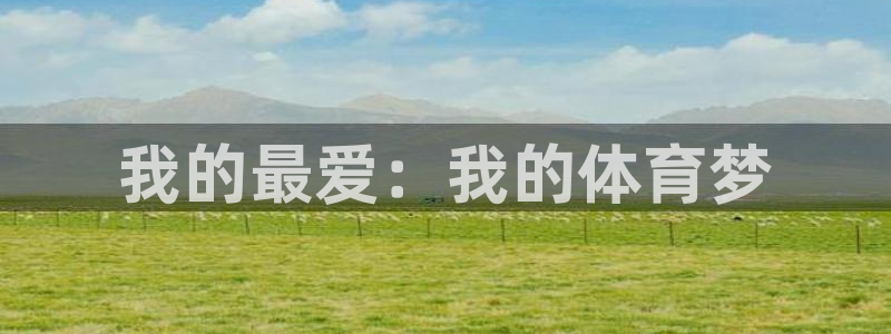 3377体育官方正版app集团：我的最爱：我的体育梦