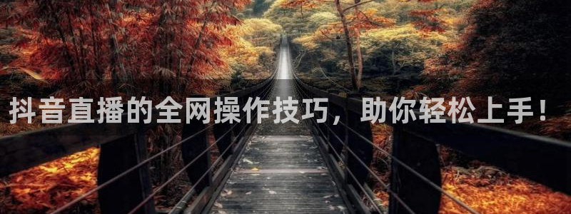 柠檬篮球比赛直播：抖音直播的全网操作技巧，助你轻松上手！