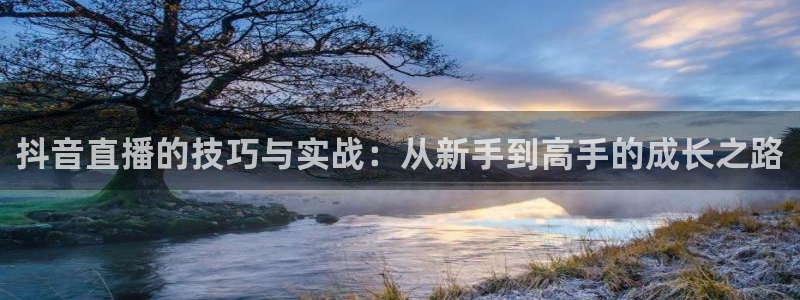 柠檬直播体育足球：抖音直播的技巧与实战：从新手到高手的成长之路