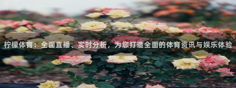 柠檬体育直播网是哪个：柠檬体育：全面直播、实时分析，为您打造全面的体育资讯与娱乐体验