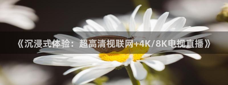 柠檬足球直播体育：《沉浸式体验：超高清视联网+4K/8K电视直播》