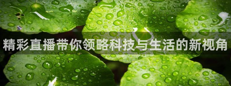nba柠檬免费直播：精彩直播带你领略科技与生活的新视角