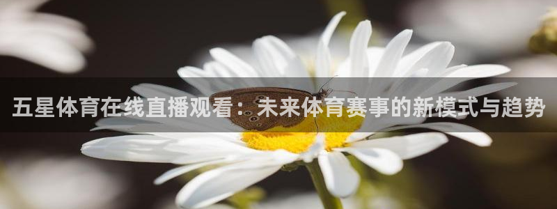 足球柠檬免费直播：五星体育在线直播观看：未来体育赛事的新模式与趋势