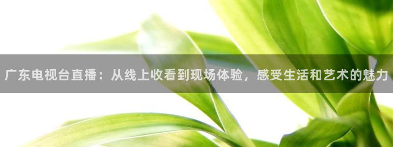柠檬足球现场直播：广东电视台直播：从线上收看到现场体验，感受生活和艺术的魅力