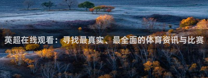 柠檬免费足球直播：英超在线观看：寻找最真实、最全面的体育资讯与比赛
