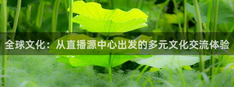 柠檬直播间：全球文化：从直播源中心出发的多元文化交流体验