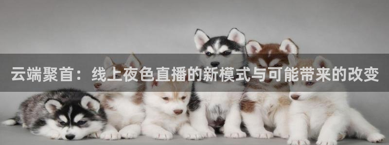 足球柠檬直播：云端聚首：线上夜色直播的新模式与可能带来的改变