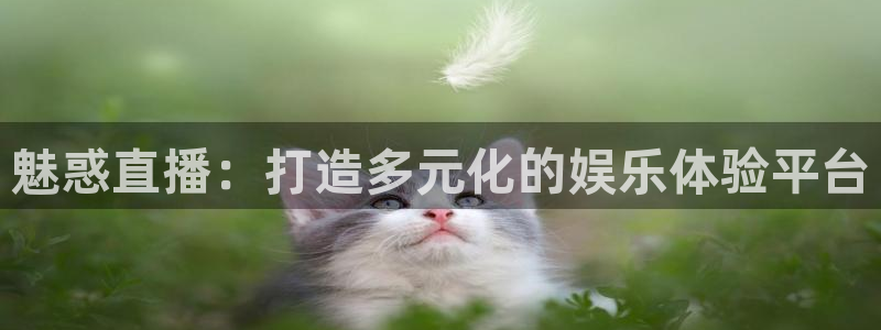 柠檬直播改名叫什么了：魅惑直播：打造多元化的娱乐体验平台