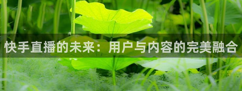 柠檬直播tv：快手直播的未来：用户与内容的完美融合